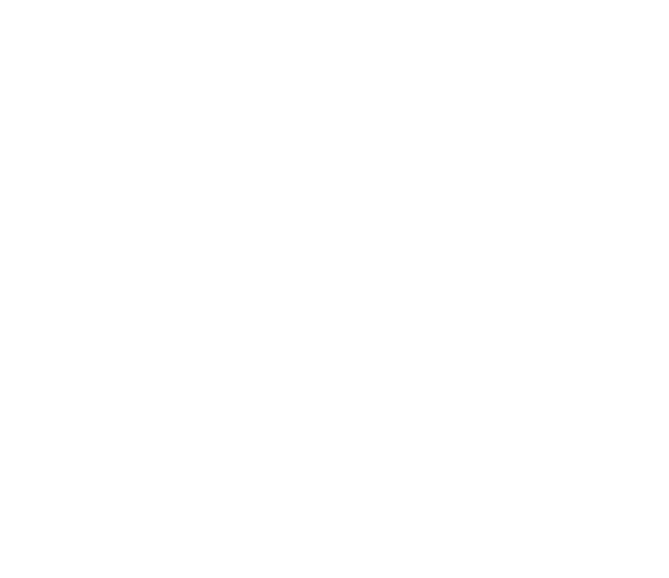 Pickup Attitude Ford Logo Blc Ford