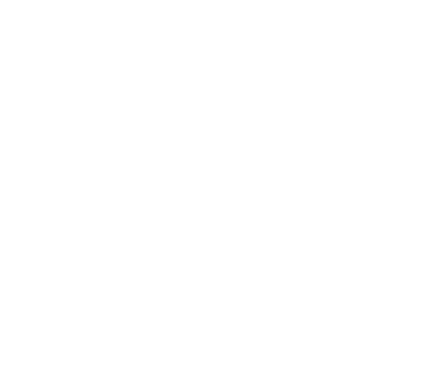 Pickup Attitude Toyota Logo Blc Toyota