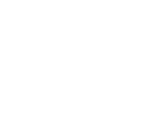 Pickup Attitude Vw Logo Blc Vw